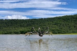 [Louise Bourgeois][0], _Crouching Spider_ (2003). Château La Coste, Provence, France. Photo: Georges Armaos.


[0]: https://ocula.com/artists/louise-bourgeois/